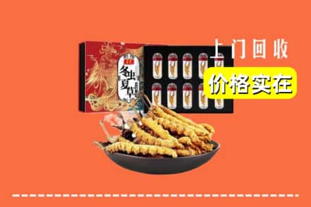 新宁县回收冬虫夏草